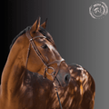 Brown Leather Bridle with Crystal Browband
